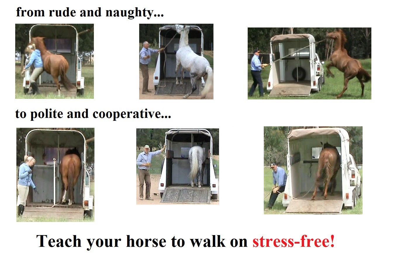 float loading training 3 part video series