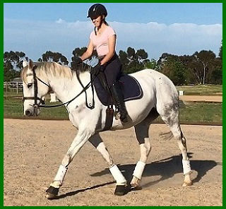 Horse riding for control and safet at About Australia Horsemanship with Norm Glenn