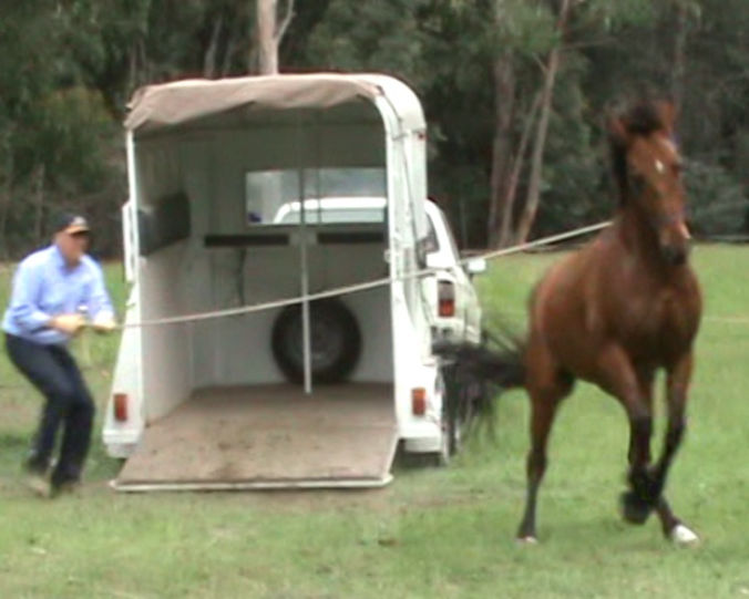 solve horse loading problems