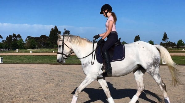 Horsemanship Training