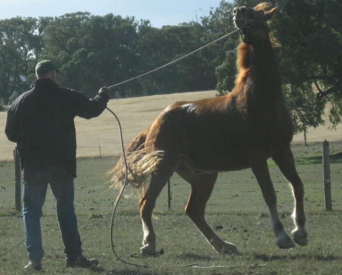 Float loading problems