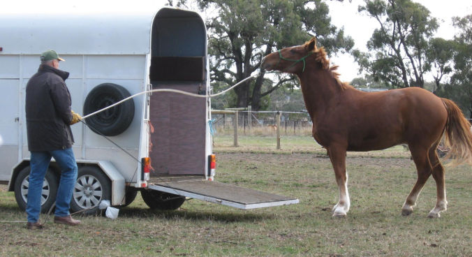 Live float training example