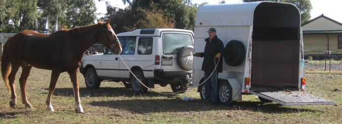 Horse float training and retraining