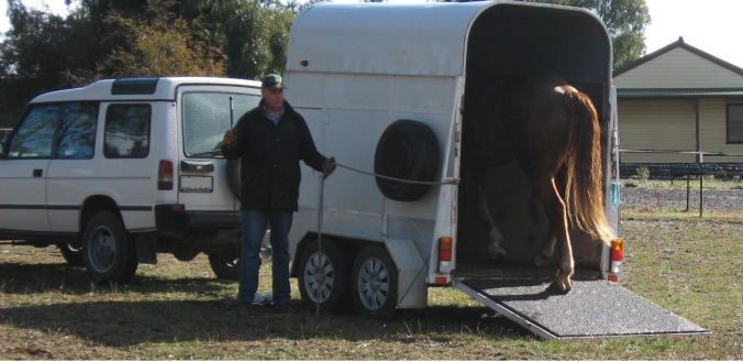 Horse Float Training for New and Problem loaders