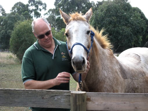 Norm Glenn Horsemanship