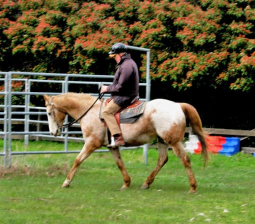 Norm Glenn Horsemanship