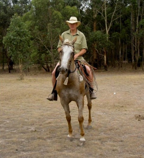 Norm Glenn Horsemanship