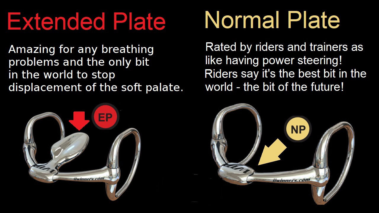 horse bits - wtp bits australia - kind horse bits - bit bank