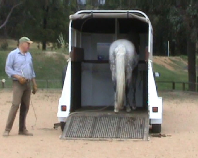 Horse Float Loading Training and Horse Trailer Loading Problems and