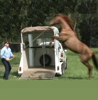 Loading Difficult Horses